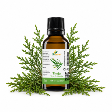 Biopurus 100% Pure Essential Thuja Oil 10ml 