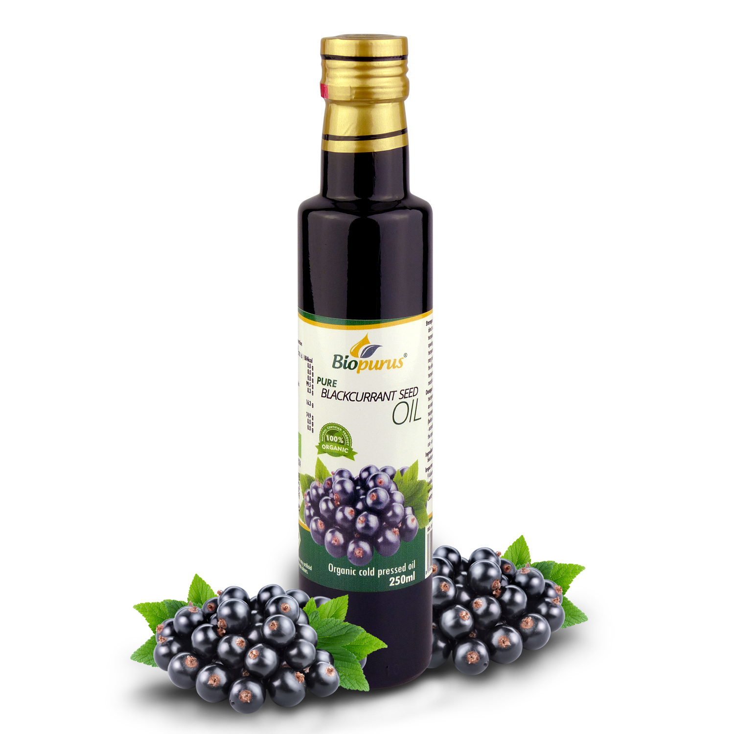 Unveiling the Wonders of Organic Cold Pressed Blackcurrant Seed Oil